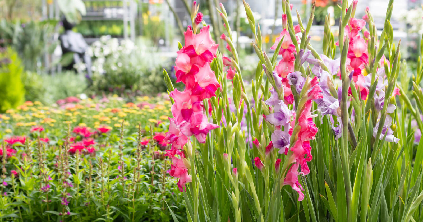 Het Grote Tuinonderzoek 