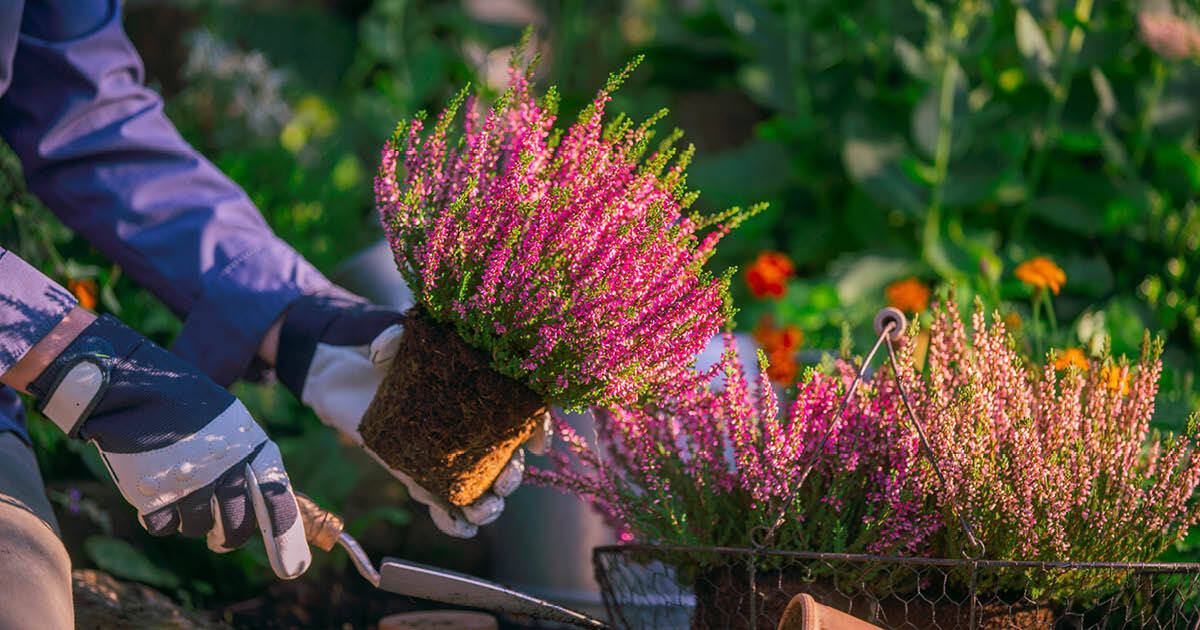 Kom langs tijdens onze Plantendagen