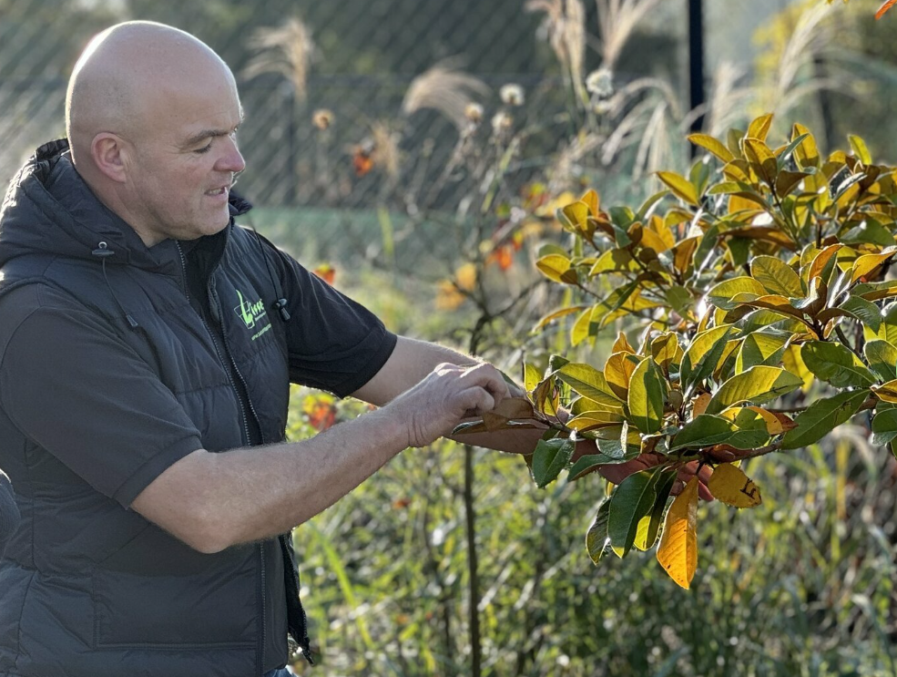9 november is Nationale Boomplantdag!