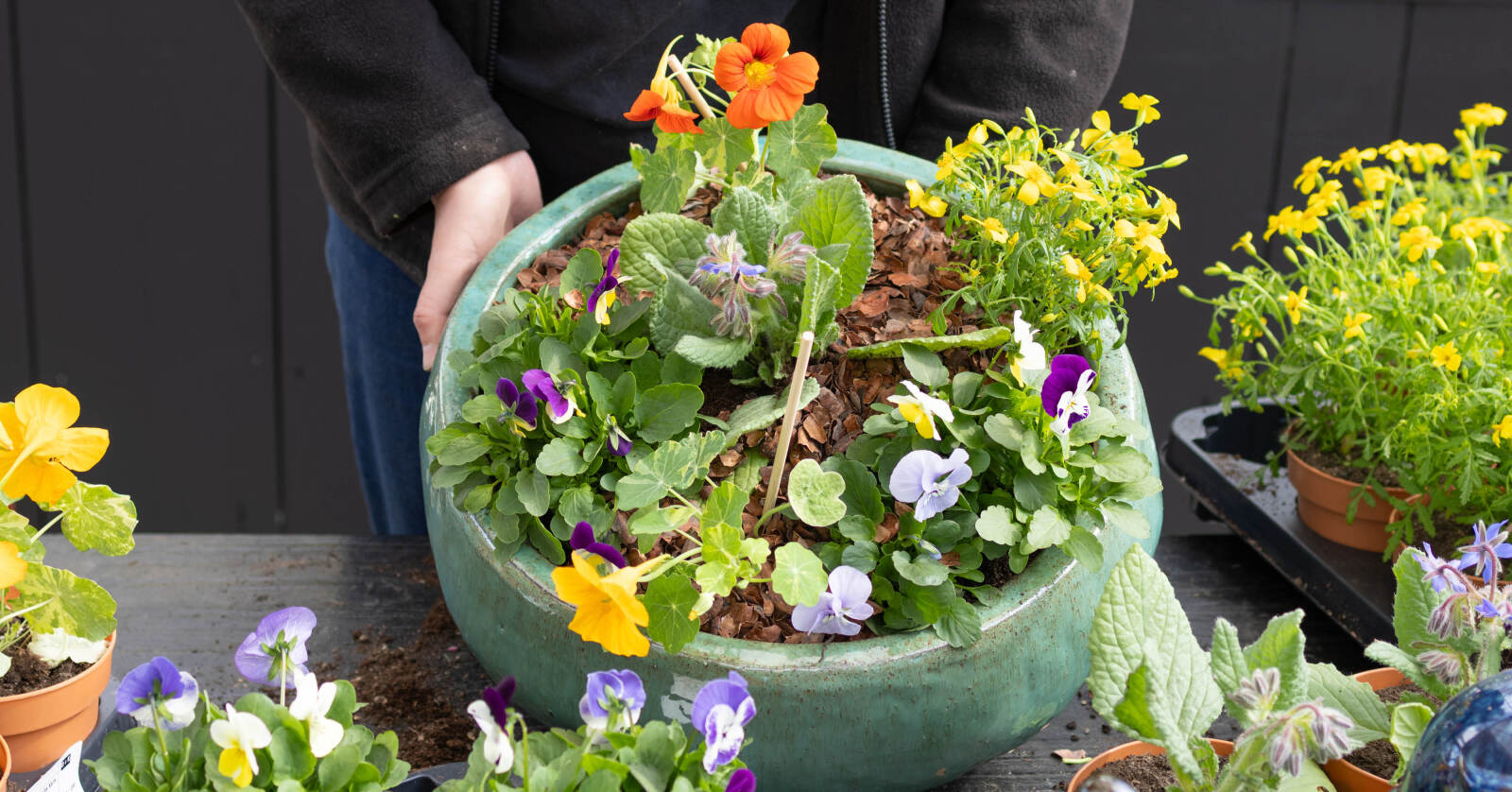 Vul een plantenschaal met eetbare bloemen