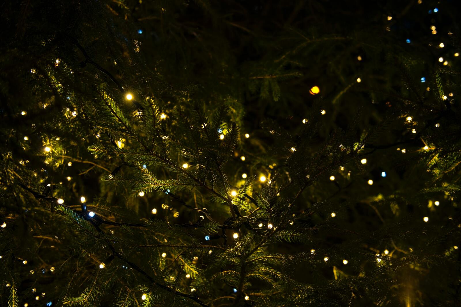Help mee onze kerstboom versieren!
