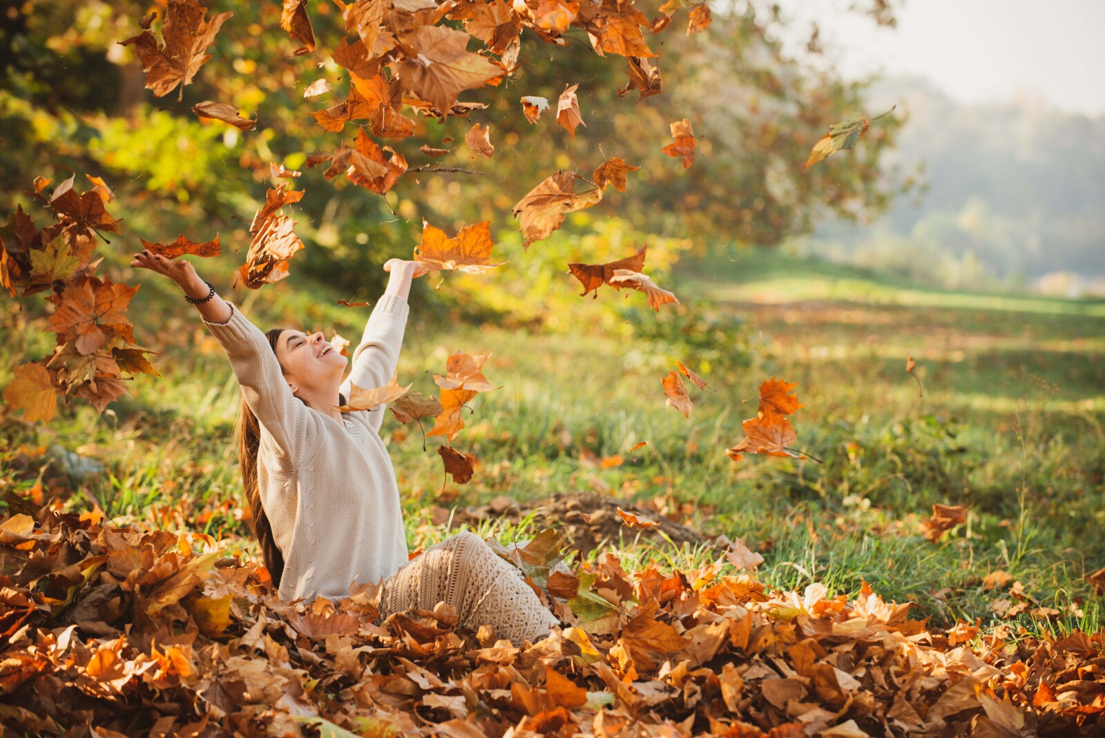 Herfst Opendeur