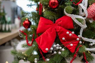 Tips voor de mooiste kerstboom